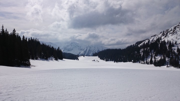 Am Herrenboden, im Hintergrund die Veitsch