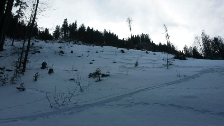 Offenes Gelände, schwerer Schnee und schwere Beine